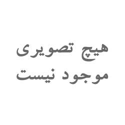 فاطمه اسدی